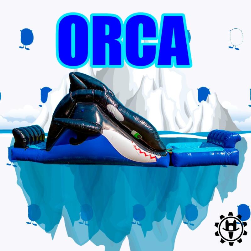 Orca